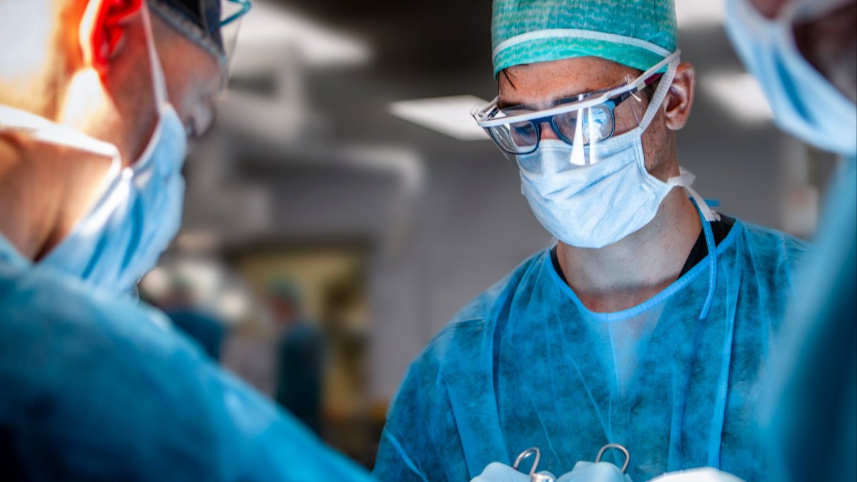 Surgical Cadaver Workshop: Molar Extractions with Immediate Implant Placement